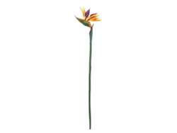 Compra online (3 unidades, tamaño controlado 50 cm)