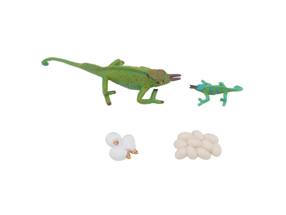 Ats-4pcs Modelo De Animales Simulados Juguete Ornamental Ciclo De Crecimiento Cognitivo Niños Hogar Escuela