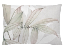 Funda cojín estampado sin relleno 50x30 cm algodón extra suave fabricado en España Carel NATURALS