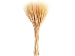 GIGIKILL Espigas De Trigo Secas 100 Ramos Para Decorar Casamento Cozinha Sala De Jantar (40 Cm)