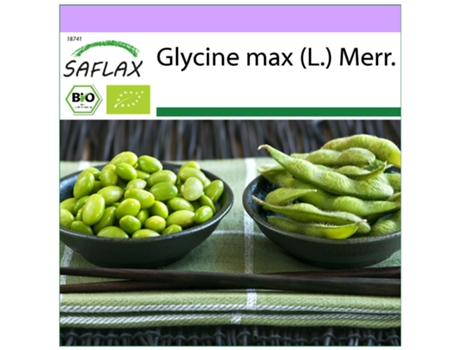 SAFLAX Ecológico Alubia Edamame 8 semillas Glycine max (L.) Merr.