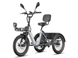 Bicicleta eléctrica F20 Mate II, motor de 250 W, batería de 48 V y 21 Ah, neumáticos de 20 pulgadas, frenos de disco hidráulicos, color gris plateado, FAFREES