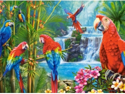 Rompecabezas de 2000 piezas con temática de reunión de loros de Castorland