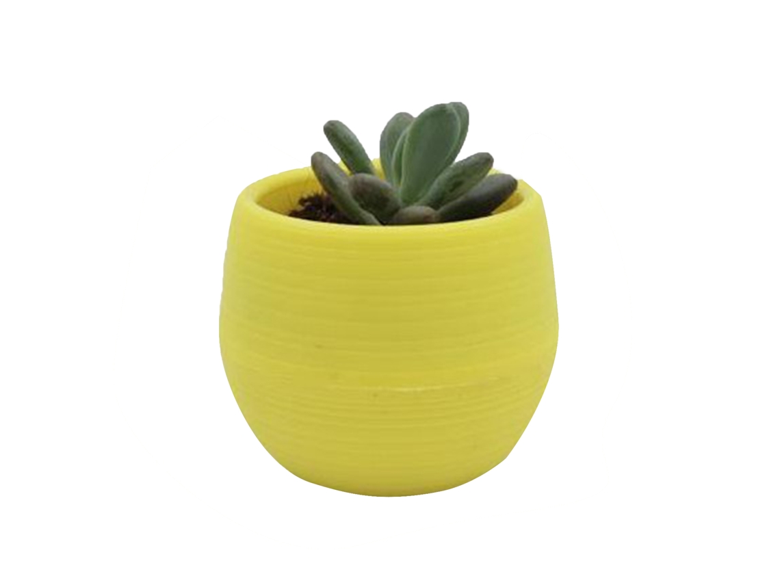 Maceta De Plástico Para Mini Plántulas De Suculentas Con Orificios De Drenaje, Para Jardín O Balcón, Color Amarillo.