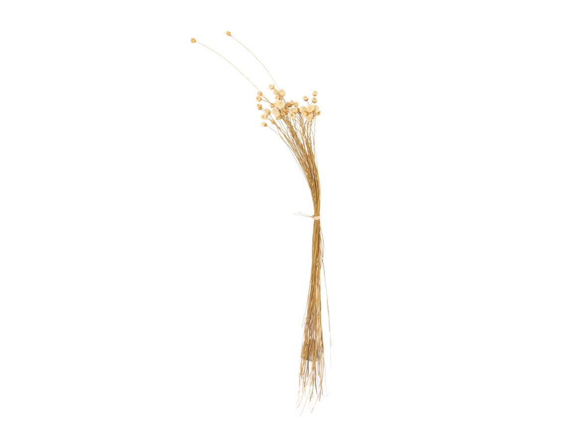 Ramo De Flores Artificiales Secas Para Hacer Tú Mismo: Materiales De Decoración Ecológicos.