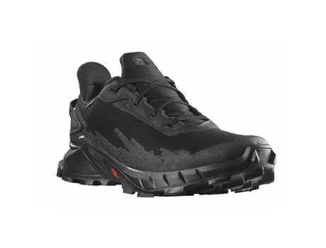 Zapatillas de Mujer SALOMON Alphacross Gtx Negro (41.3)