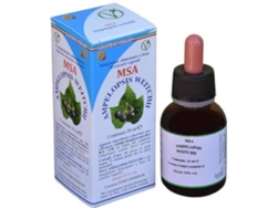 Complemento Alimentar HERBOPLANET Msa Ampelopsis Weitchii (50 ml)