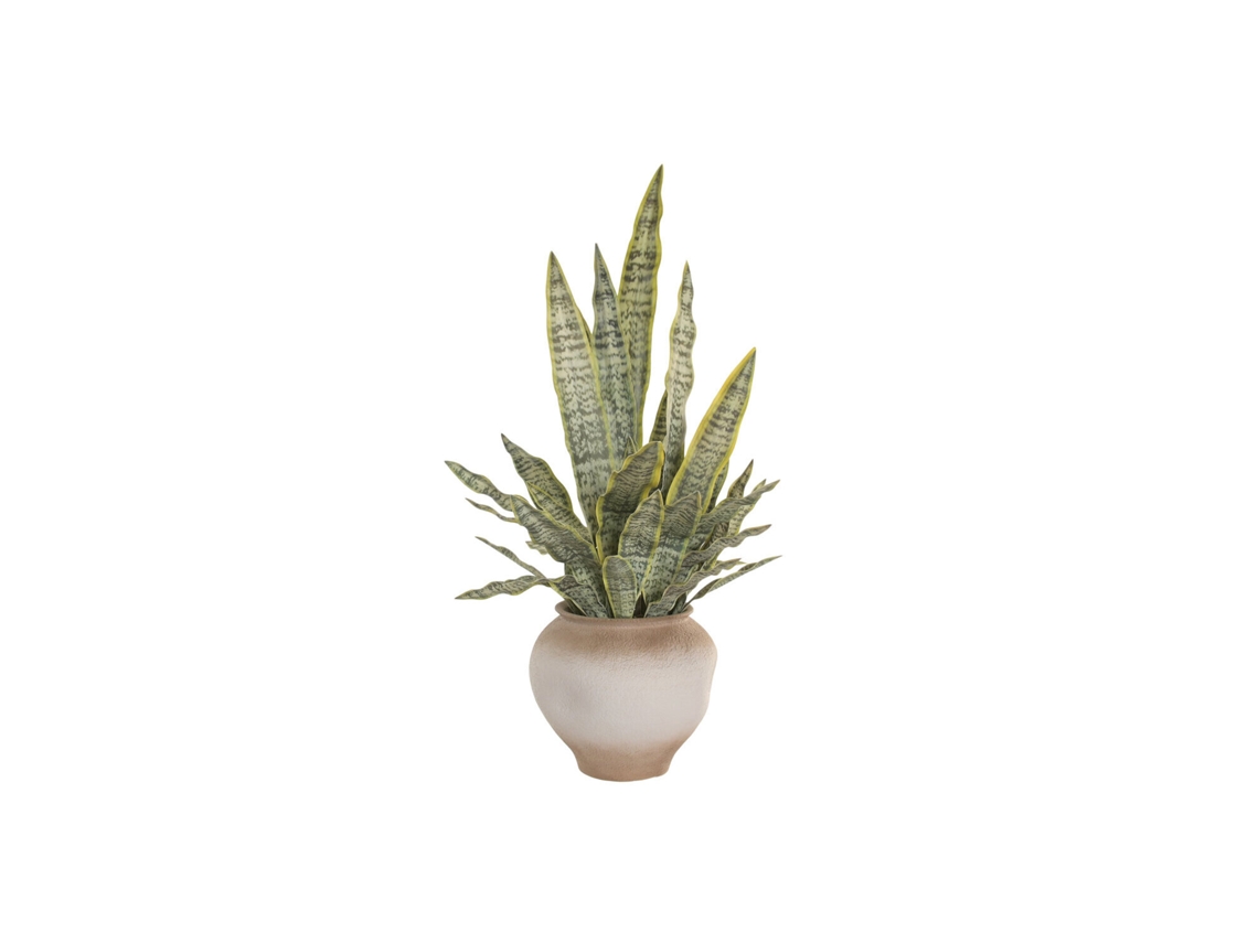 Planta Pe Magnesia Macetero 32x32x30 60x60x100cm
