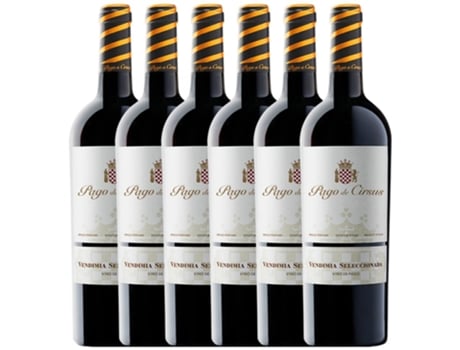 Vino PAGO DE CIRSUS Pago De Cirsus Vendimia Seleccionada Pago Bolandin (0.75 L - 6 unidades)