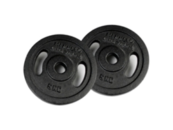 Disco de Ferro 5Kg 2 Unidades Prateado 5 kgfinnlo