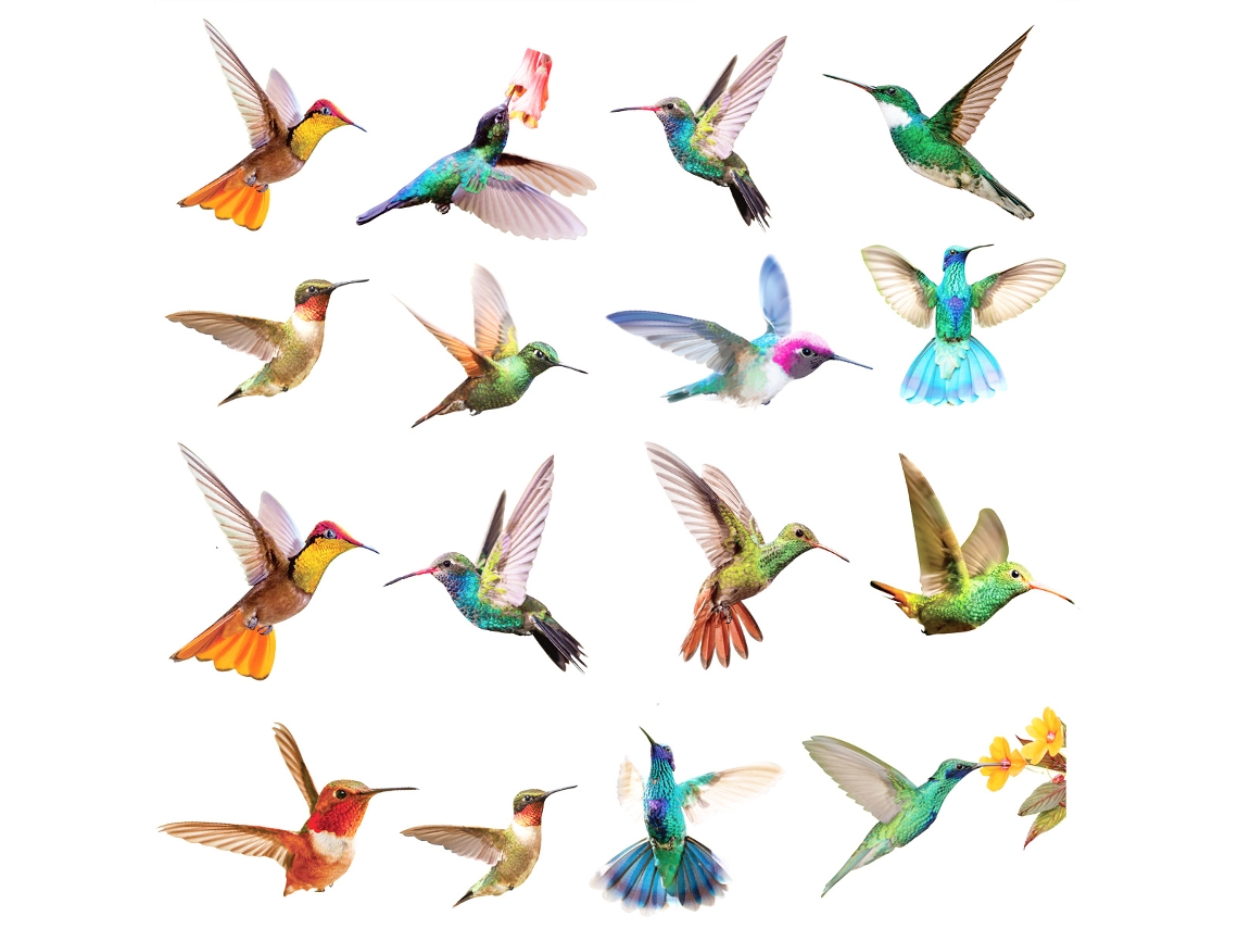 Pegatinas de pájaros en el jardín, removibles para habitación de niños Kofihety