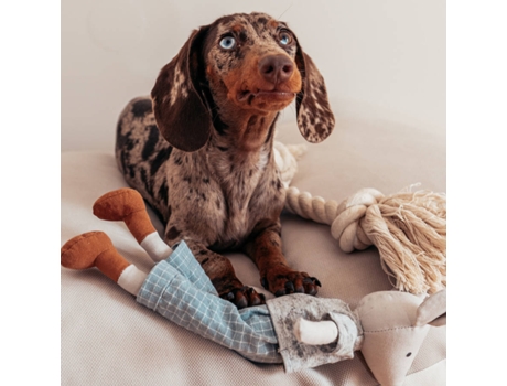 Cama para Perros THE HAPPY NEST Beige (65 x 85 cm)
