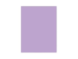 Cartolina Liderpapel 50X65 Cm 180G/M2 Lilas Pack de 25 Unidades