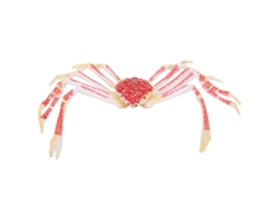 Modelo De Cangrejo Simulado, Juguete De Plástico, Animal Marino, Regalo Para Niños, Decoración