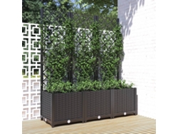 Maceta/Jardinera de Jardín con Enrejado 120X40X136 Cm PP Negro