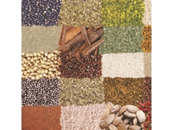 Mantel antimanchas hule rollo 140 cm. x 20 metros especias