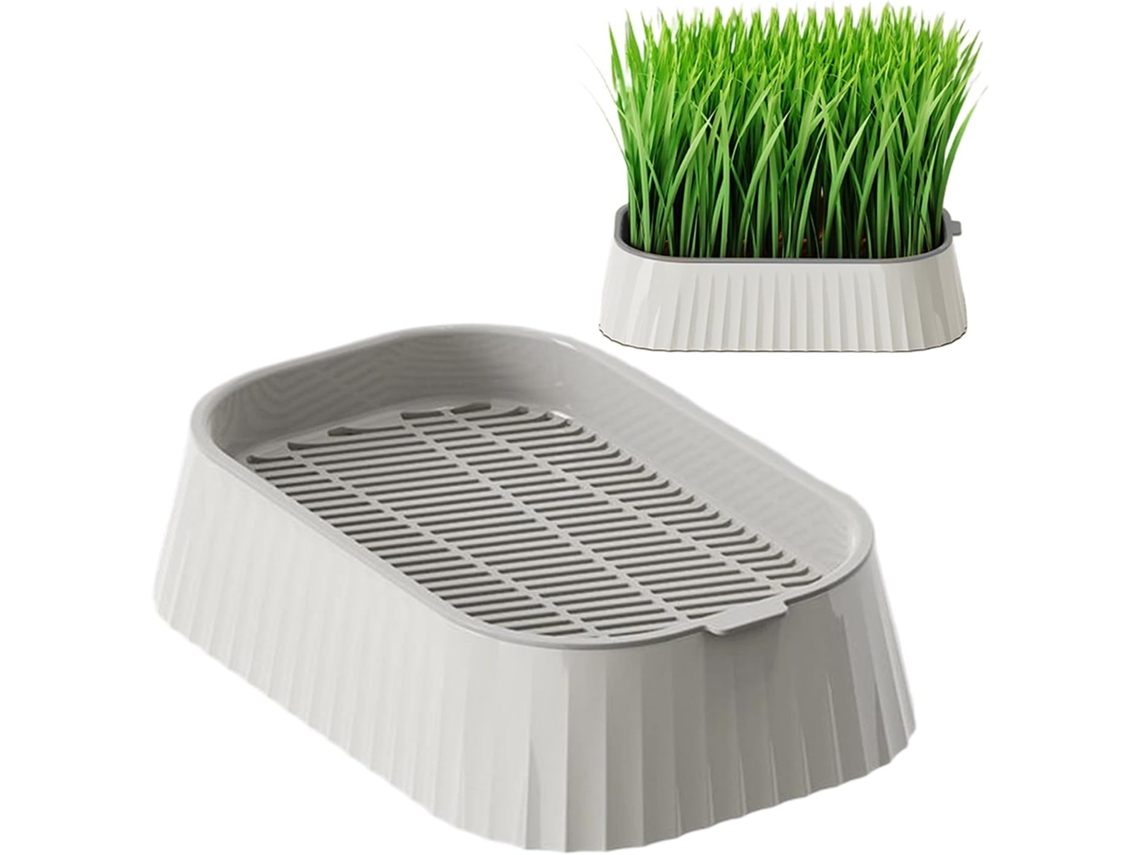 Kit De Cultivo De Hierba Para Gatos Sin Tierra, Bandeja De Plantación Extraíble Y Reutilizable De 2 Niveles, Maceta