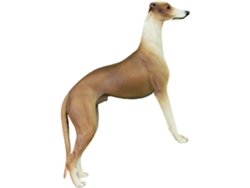 Miniaturas De Cachorros De Plástico Para Decoração De Mesa, Brinquedo Educativo Para Meninos E Meninas.