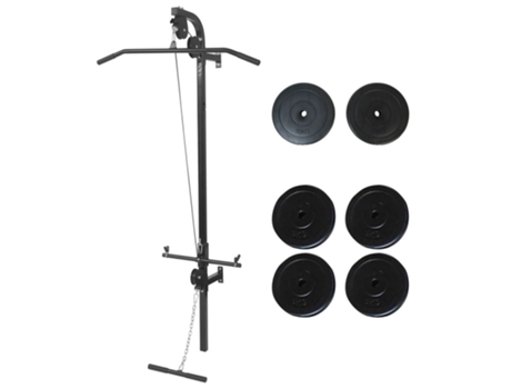vidaXL Máquina de musculación de pared con discos de peso 40 kg