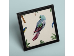 Póster NACNIC Cuadrado con Dibujos de Pã¡Jaros. Lorito Parlanchín, Ilustrada con Dibujos de Pajaros y Periquitos.