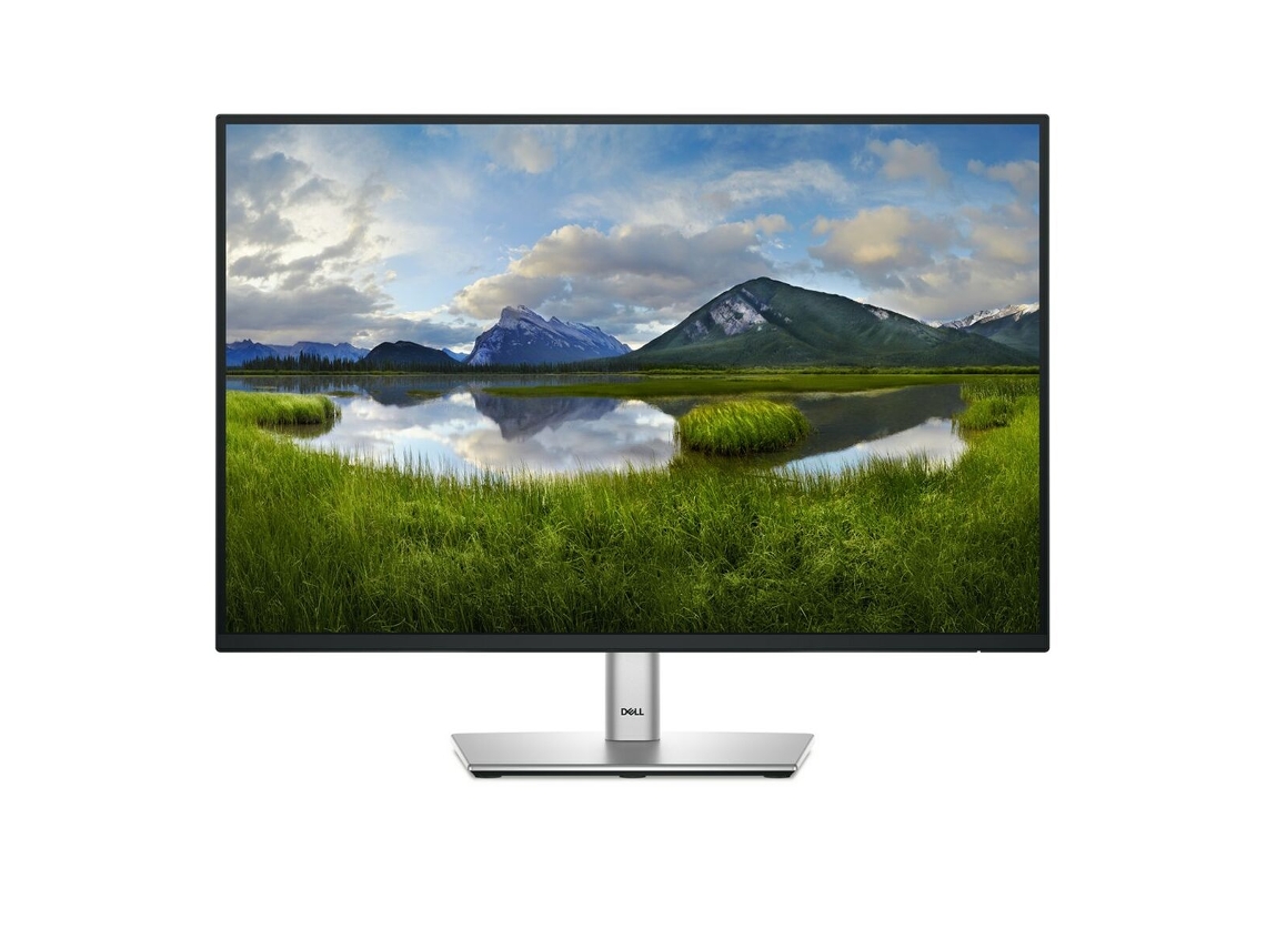 Monitor DELL P2425E (Negro - Gris - LED - IPS - LCD - Flicker free - NVIDIA G-SYNC - WUXGA - 24,1" - 5 ms - 8 ms)