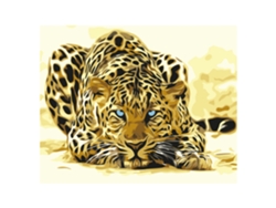 Tela con diseño para pintar por números, 40 x 50 cm. Estampado de leopardo. Incluye pinzas y las pinturas necesarias.