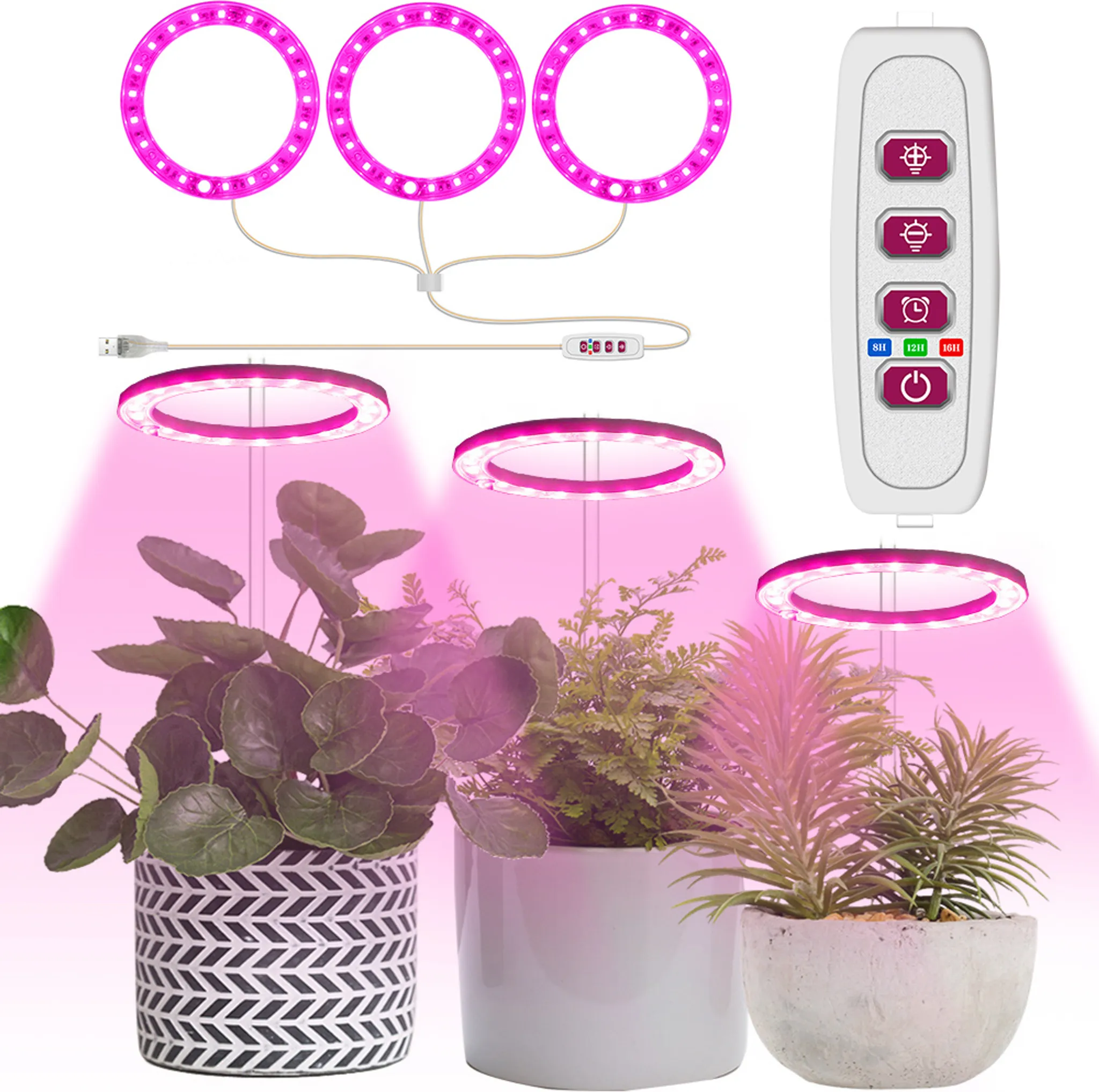 Disco Led Rosa-violeta - Triple Cabeza