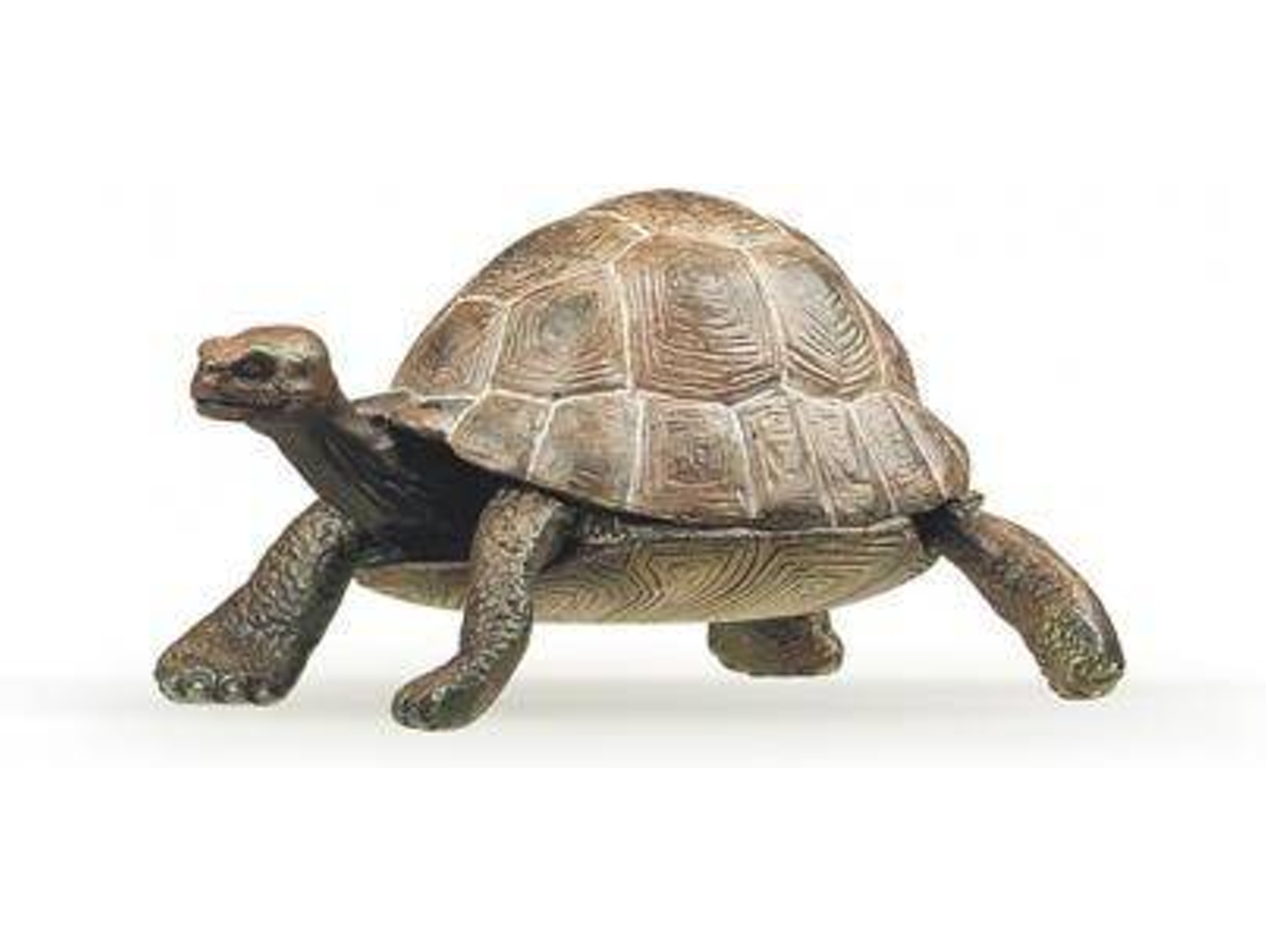 Figura PAPO Tortuga