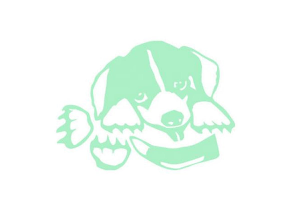 Pegatinas de pared Baok, luces nocturnas, decoraciones de perros grabadas con delicado diseño, accesorios para interruptores