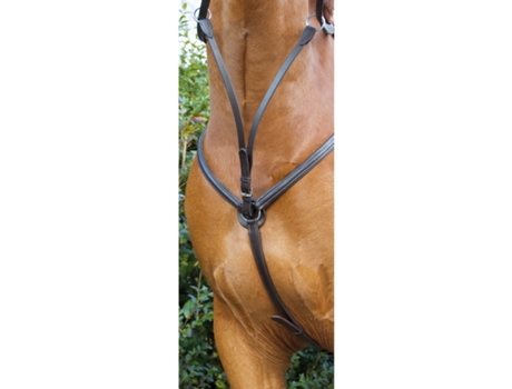 Collar de caza para caballo con forro T de T