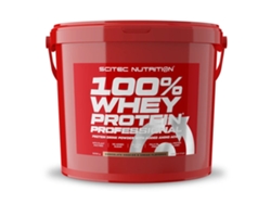 100 Whey Professional Scitec Nutrition (5 kg)