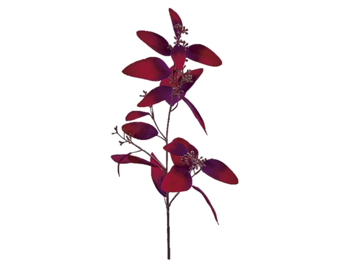 Ramo de flores de eucalipto Albi 60cm Borgoña