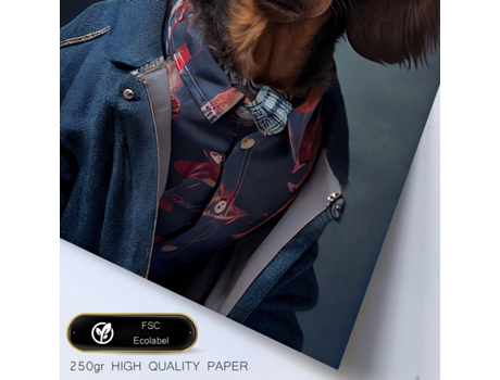 NACNIC Lámina Dachshund Tolerante En Estilo Fotografía A Todo Color. Divertidas Ilustraciones Realistas De Animales Con Ropa Humana A3.