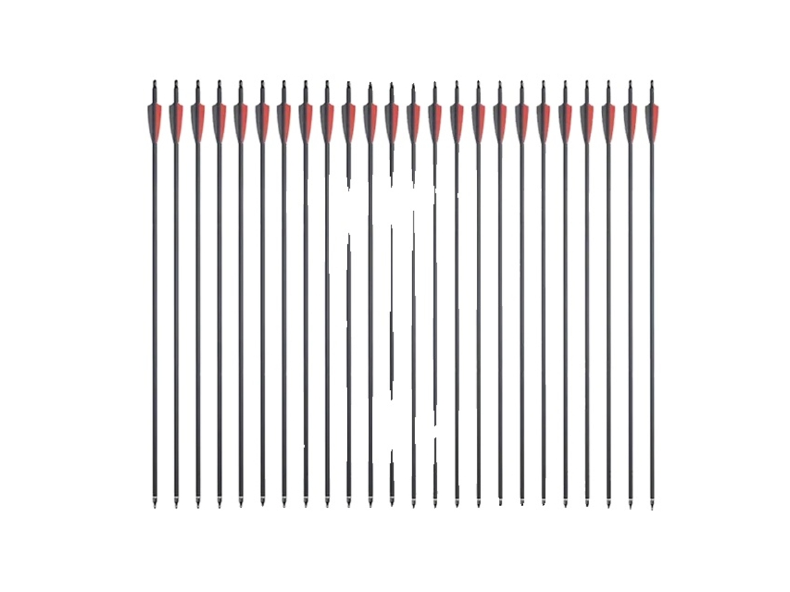 Flechas de carbono de 31 pulgadas con puntas extraíbles, 12 unidades OEM