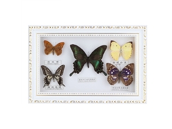 Mariposa hecha a mano, regalo de cumpleaños, marco blanco.