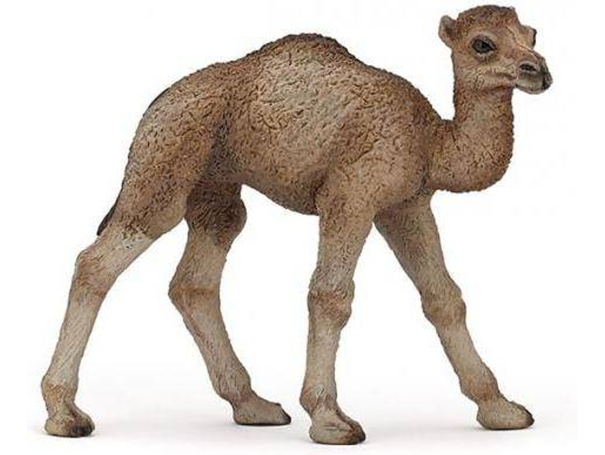 Figura PAPO Dromedário Bebé