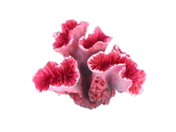 2026-coral Artificial Simulación Realista Plantas Acuáticas Decoración Acuario No Tóxico