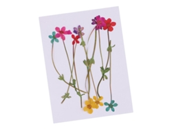 Muestra de 10 piezas de flores secas naturales para decoración slowmoose