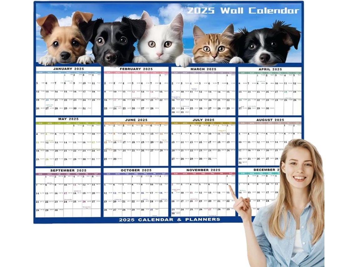 Calendario De Pared 2025, Planificador Anual Laminado, Borrable En Seco Y Húmedo, Grande, De 12 Meses