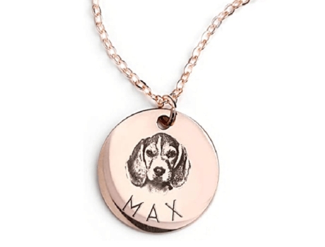 Collar Con Etiqueta Para Perro Y Gato De Acero Inoxidable, Collar De Oro Rosa Láser Collar Con Etiqueta Para Perro Y Gato De Acero Inoxidable, Coll...
