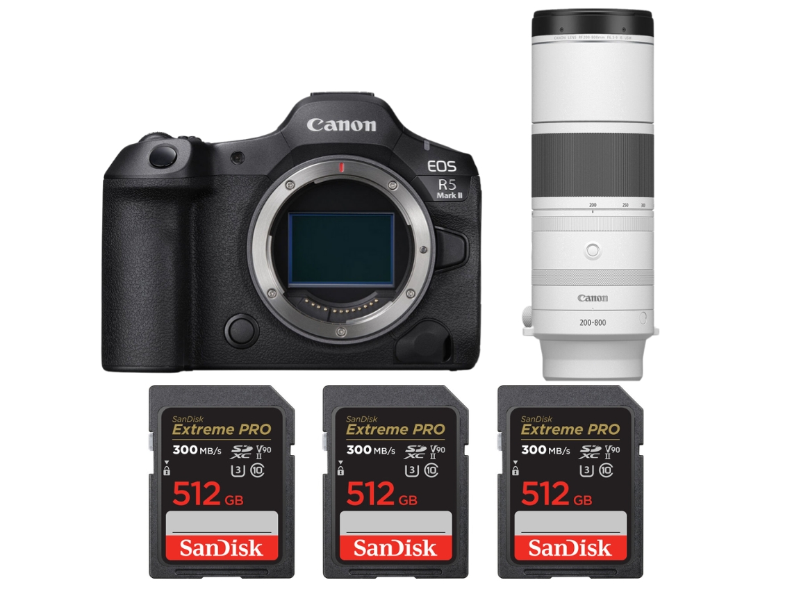 Canon Eos R5 Mark Ii + Rf 200-800mm F/6.3-9 Is Usm + 3 Sandisk 512gb Uhs-ii 300mb/s + Ebook “20 Consejos Para Fotos Que Impactan”