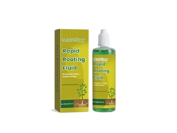Enraizamiento eficaz de plantas verdes
