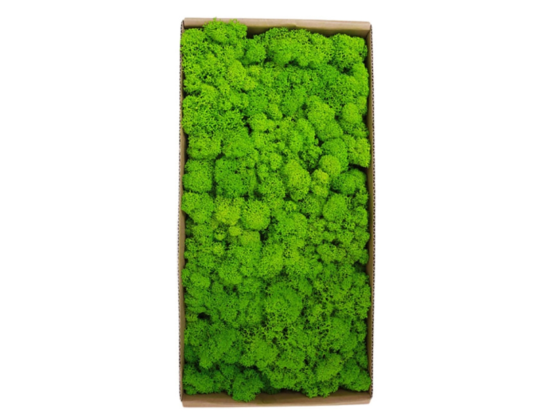 Accesorios de decoración de espuma para paisajes en miniatura, espuma inmortal para pared y césped verde