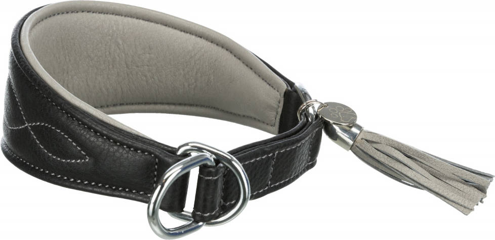 Collar para Perros TRIXIE Confort (Negro - 24-31 x 5 cm - Cuero)