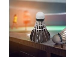 Yncm-12 Piezas De Plumas De Pato De Barril Para Bádminton, Volantes, Bolas Para Pájaros, Para Entrenamiento Deportivo En Interiores Y Exteriores.