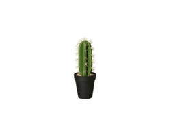 Florero Con Cactus 'Euphorbia Ingens' 26Cm - Deko ASA SELECTION