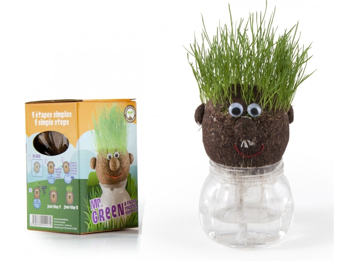 Jogo de Mesa RADIS ET CAPUCINE Mr Green - Grass Kit (4 Anos)