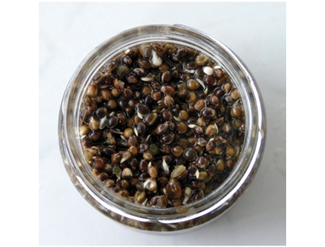 Semillas de chenevis cocidas 212 ml RAMEAU