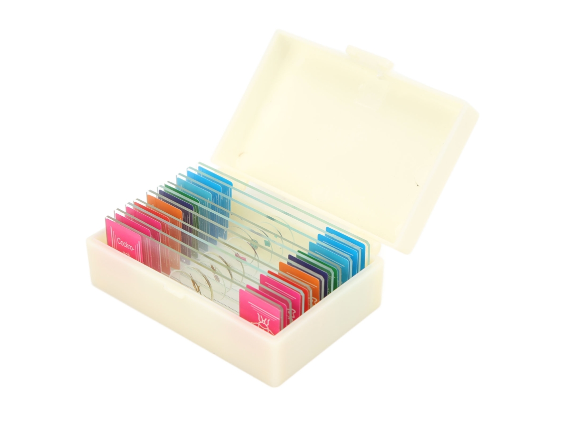 10 portaobjetos transparentes para microscopio con muestras biológicas para niños y estudiantes.