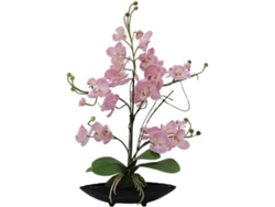 Planta Artificial EUROPALMS Orchid Arrangement (Verde - 30x60 cm)